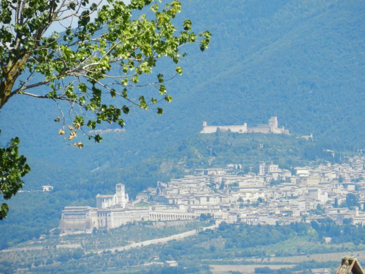 Appartamenti Brufa Civico 13/17 Exterior foto